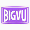 BigVu Logo
