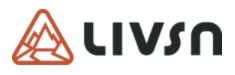 LIVSN Logo