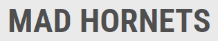 Mad Hornets Logo