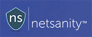 Netsanity Logo