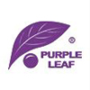 Purple Leaf Logo