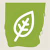 Redmond Life Logo