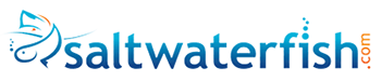 SaltwaterFish.com Logo