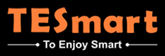 TESmart Logo