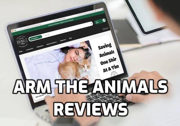 Arm The Animals Review