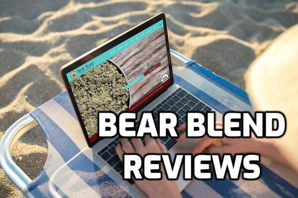 Bear Blend Review