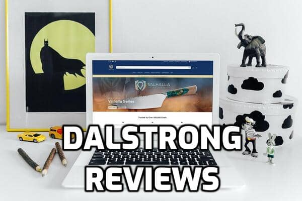 Dalstrong Review