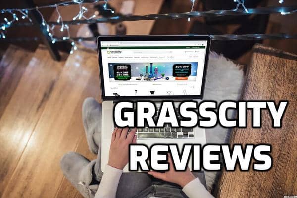 Grasscity Review
