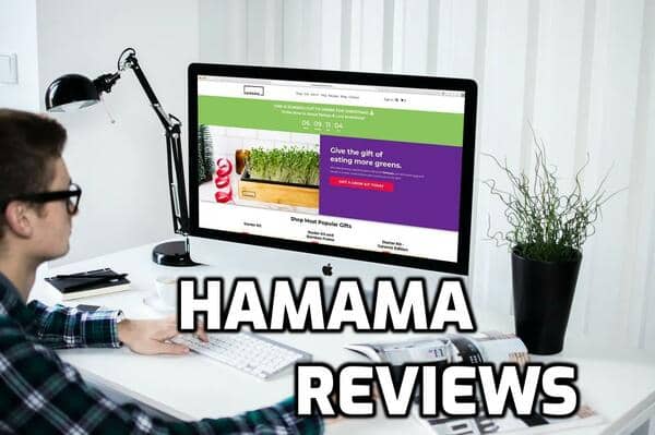 Hamama Review