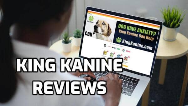 King Kanine Review