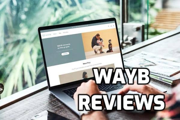 Wayb Review
